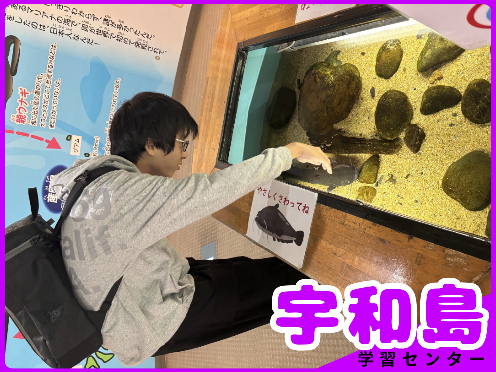 今治精華高等学校